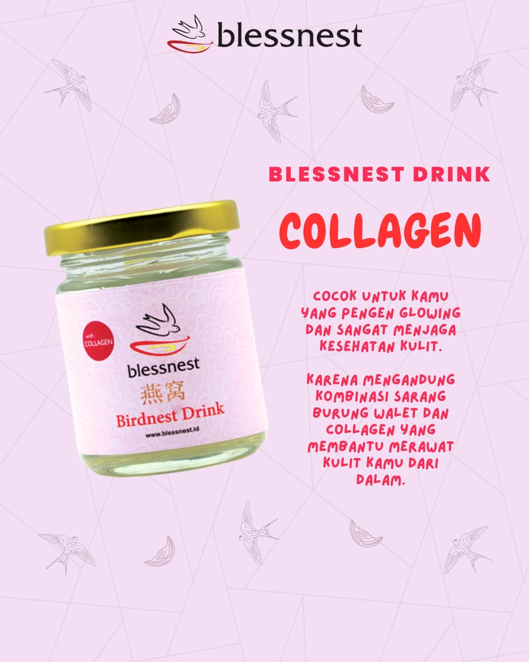 STARTER PACK BLESSNEST FOR GEN Z