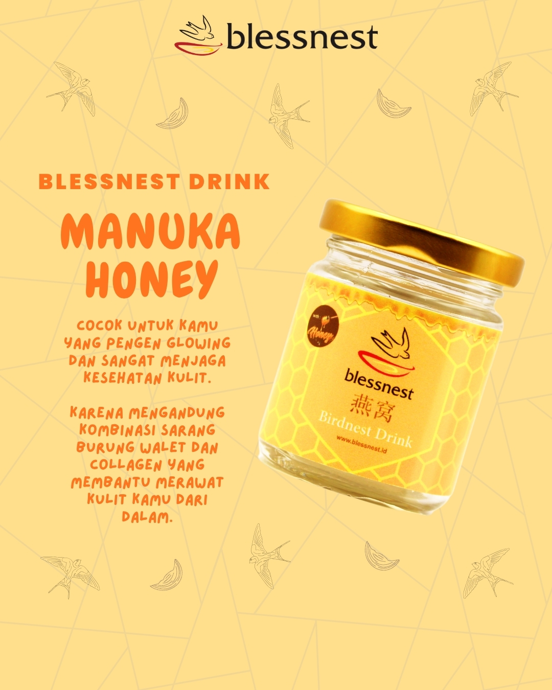 STARTER PACK BLESSNEST FOR GEN Z