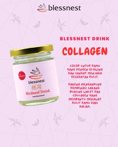 STARTER PACK BLESSNEST FOR GEN Z