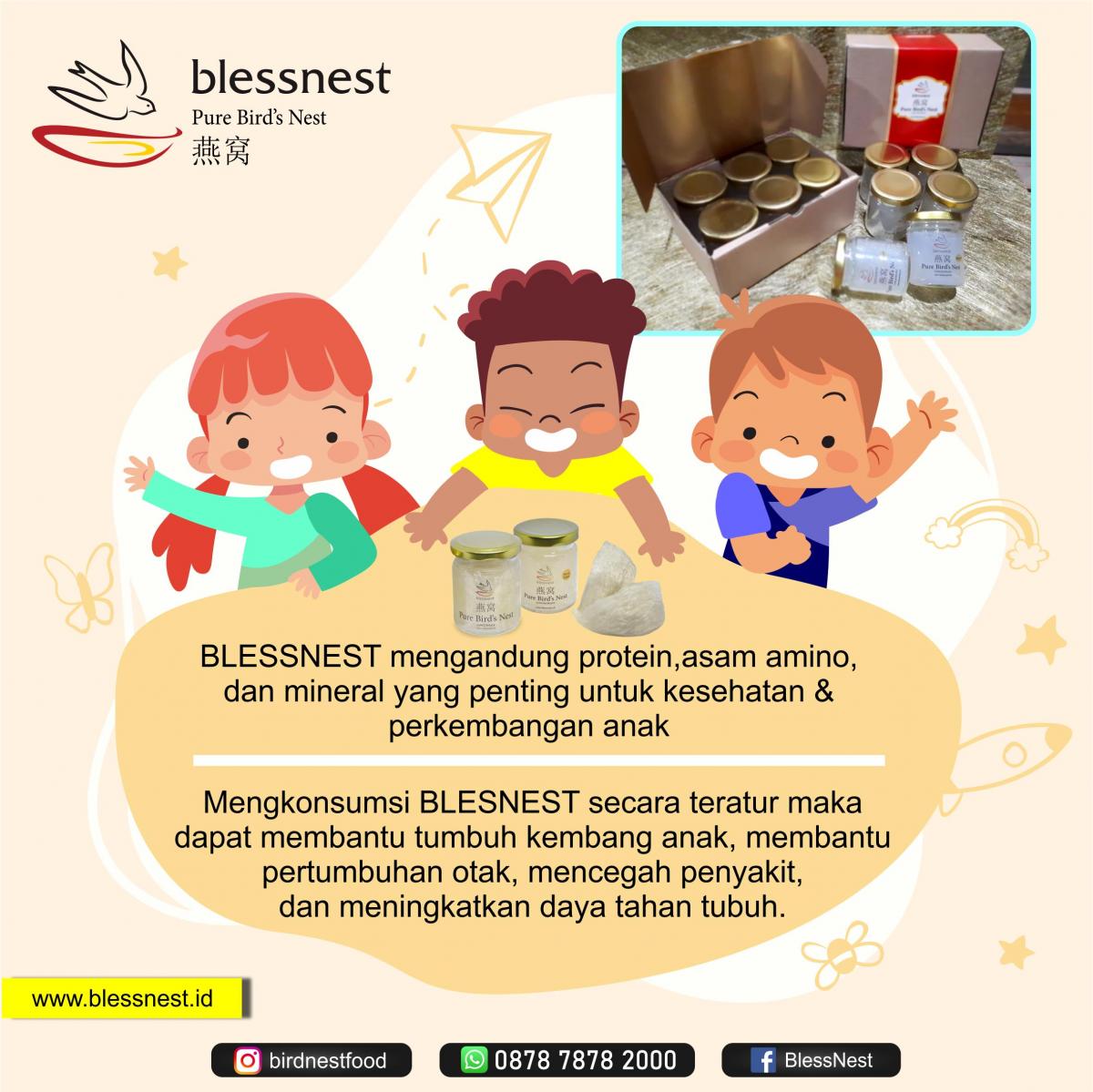 Manfaat BLESSNEST Bagi Kesehatan Anak - Anak