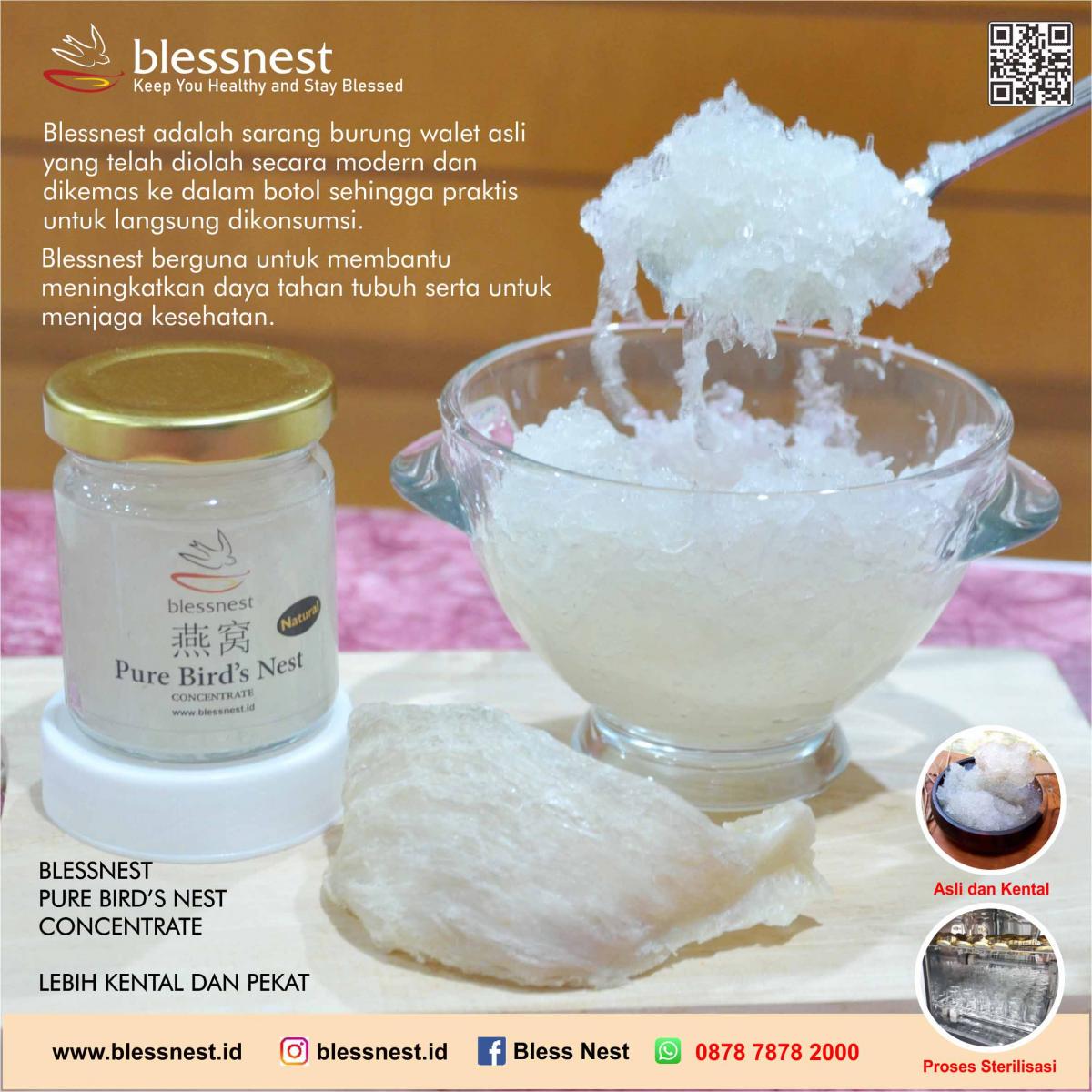 Blessnest Concentrate