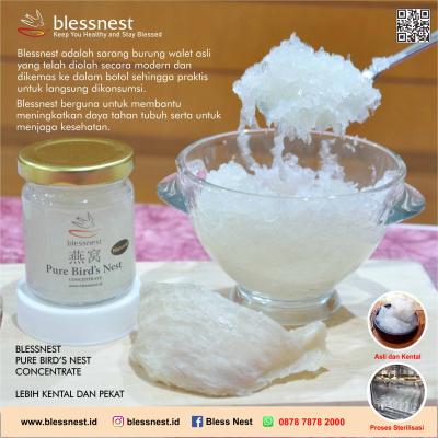 Blessnest Concentrate